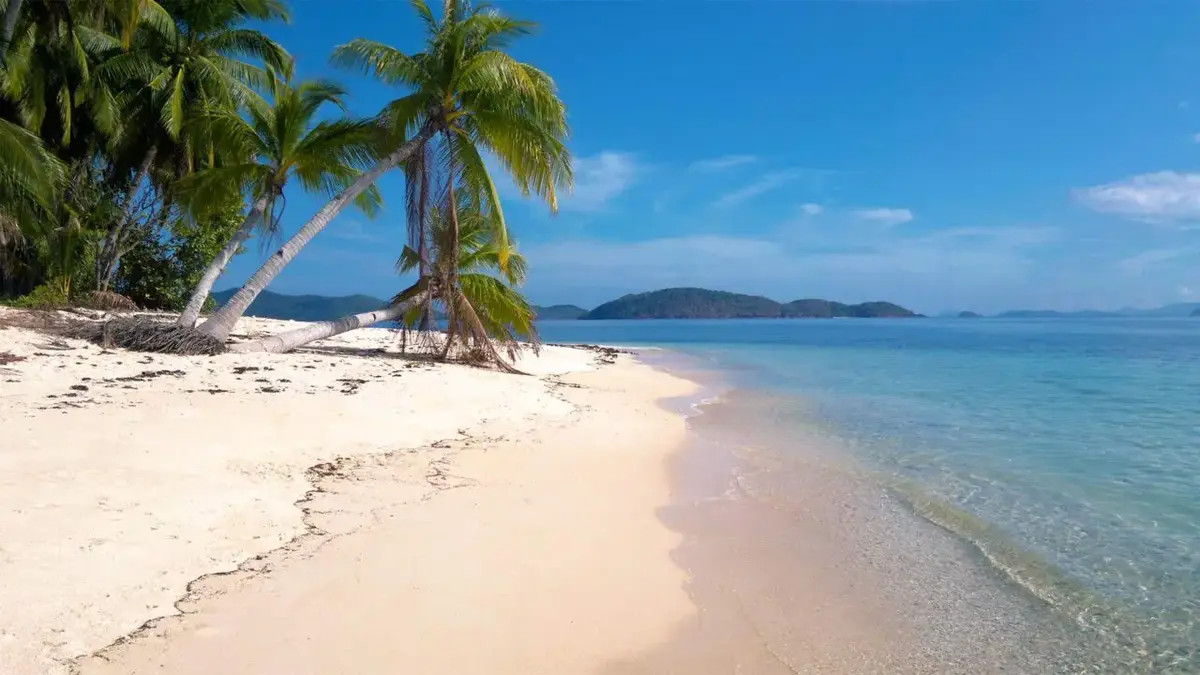 Linapacan Pical Beach