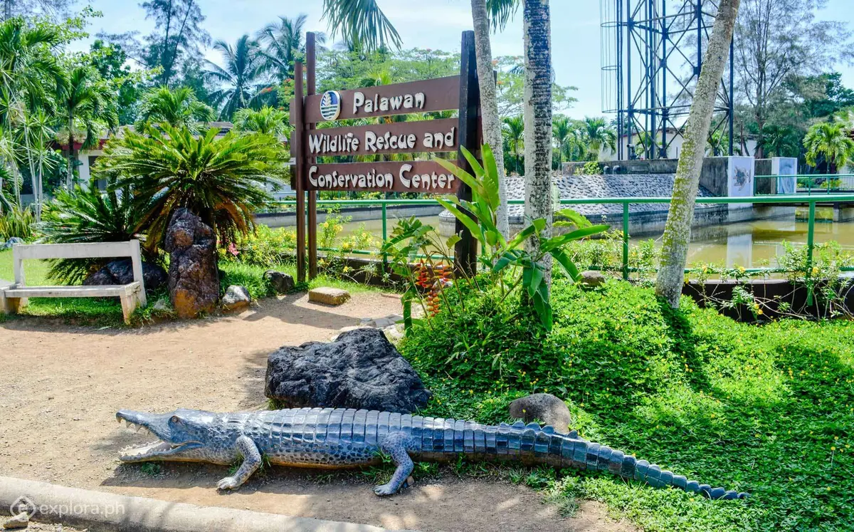 Puerto Princesa Crocodile Farm