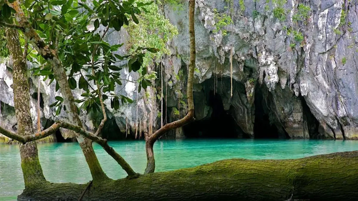 Puerto Princesa Underground River inside the limestone cave