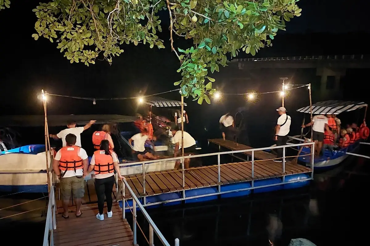 Firefly watching among mangroves in Puerto Princesa