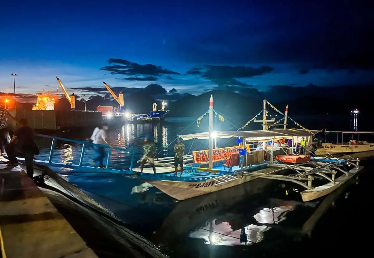 Puerto Princesa firefly watching tour at night