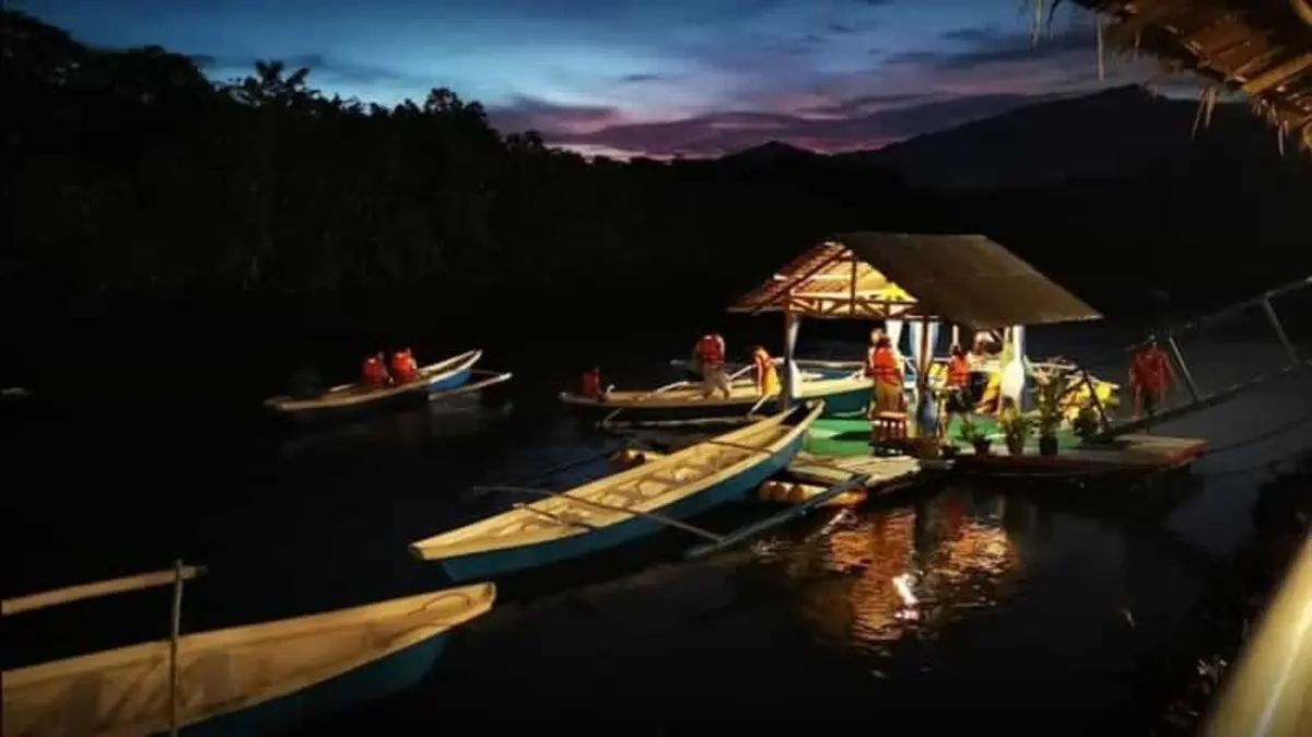 Firefly watching cruise on the Sicsican River in Puerto Princesa