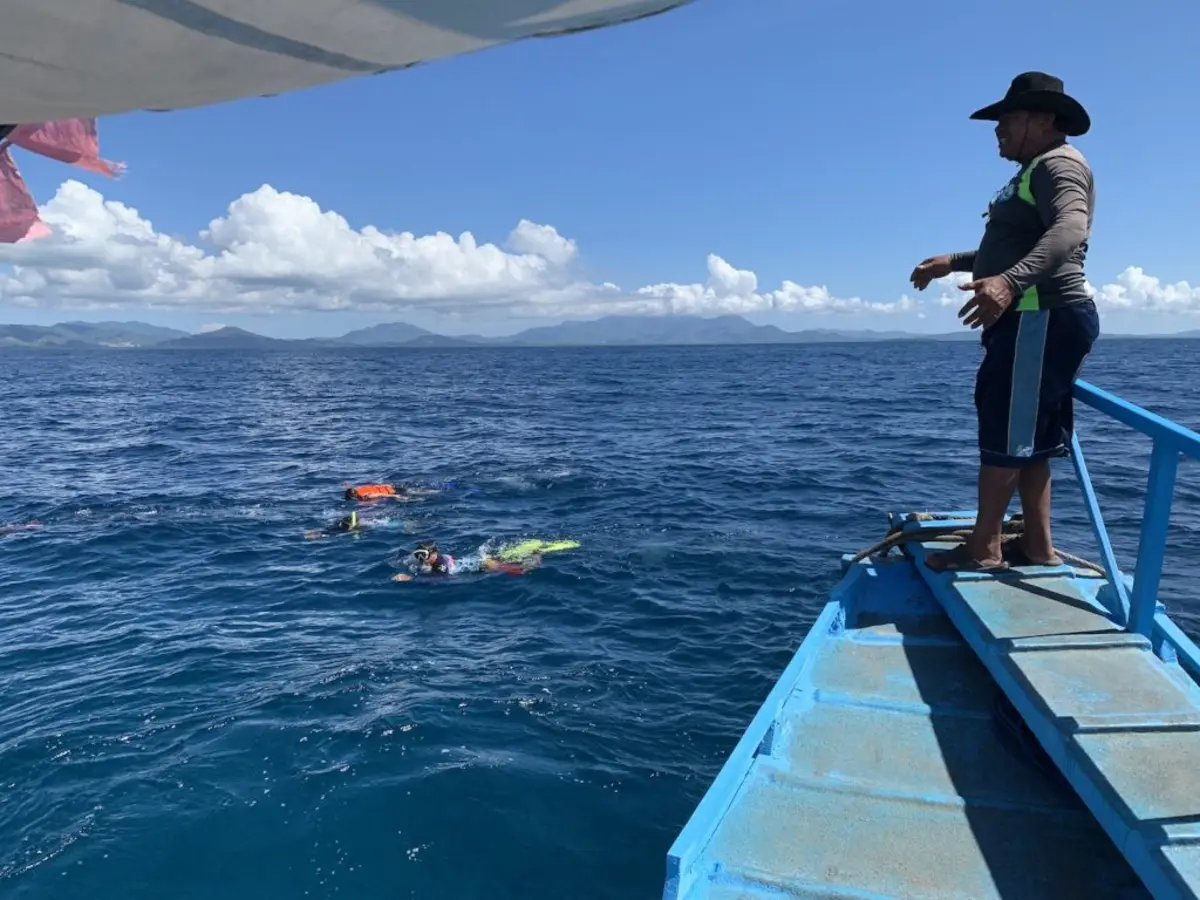 Whale shark swimming near the surface in Puerto Princesa, Palawan